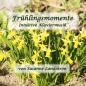 Preview: Frühlingsmomente (CD)